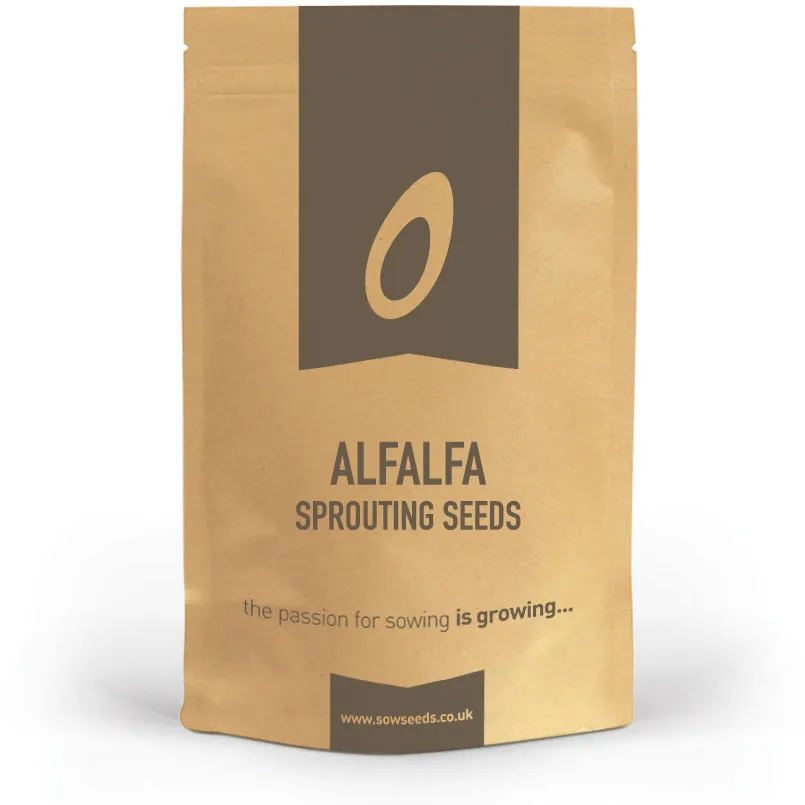 Alfalfa Microgreens Sprouting Seeds