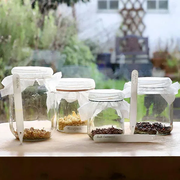 Broccoli Microgreens Sprouting Seeds