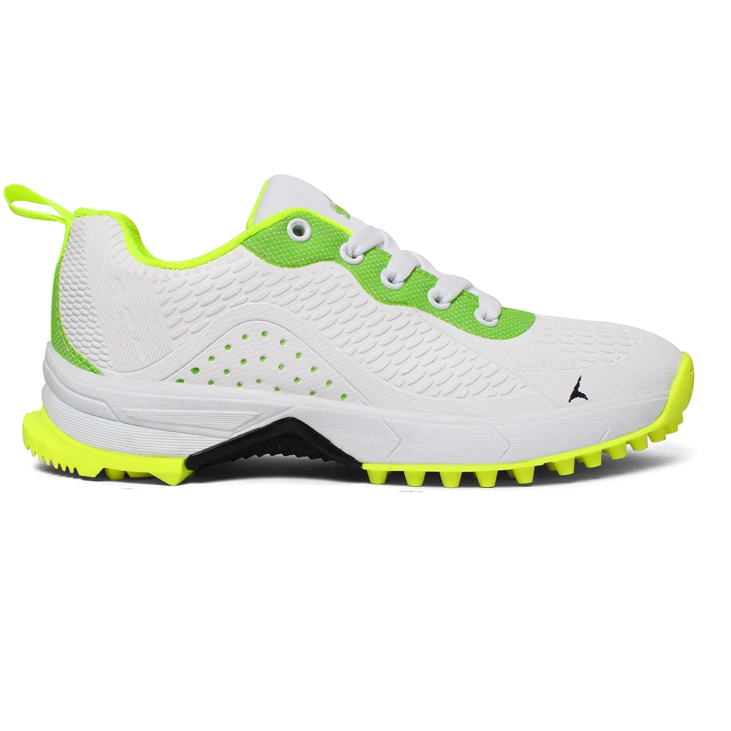 Champ 184 Cricket Shoe for Kid's