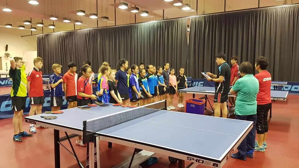 Cornilleau 540 ITTF Indoor Table Tennis Table