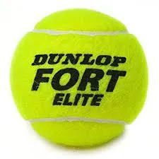 Dunlop Fort Elite Tennis Balls (1 Can)