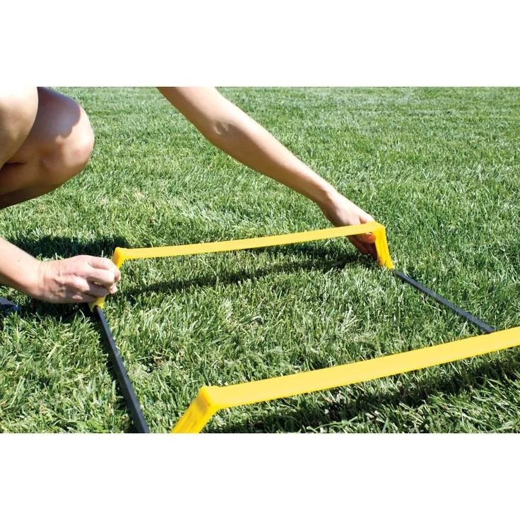 Elevation Ladder
