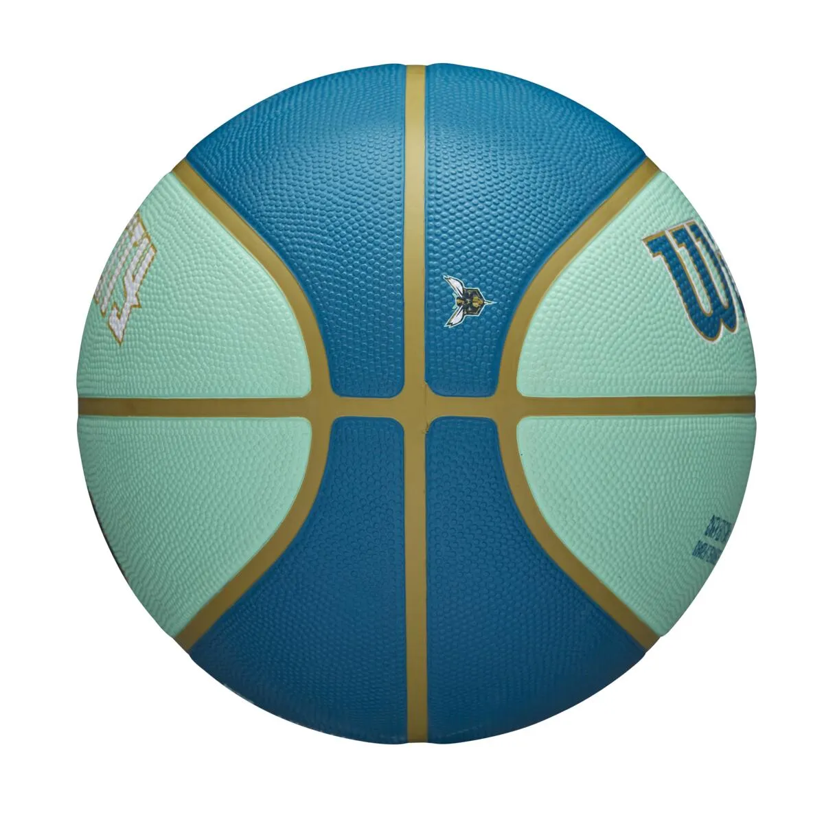 NBA Team City Edition Basketball 2023/24 - Charlotte Hornets