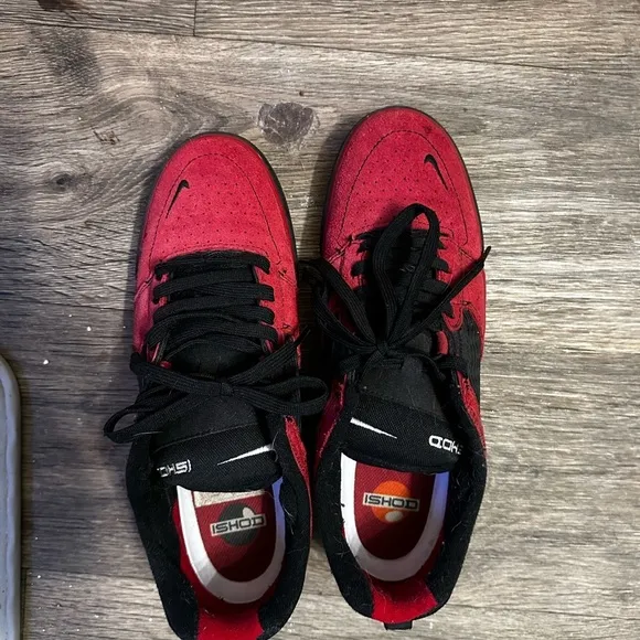 Nike SB Ishod