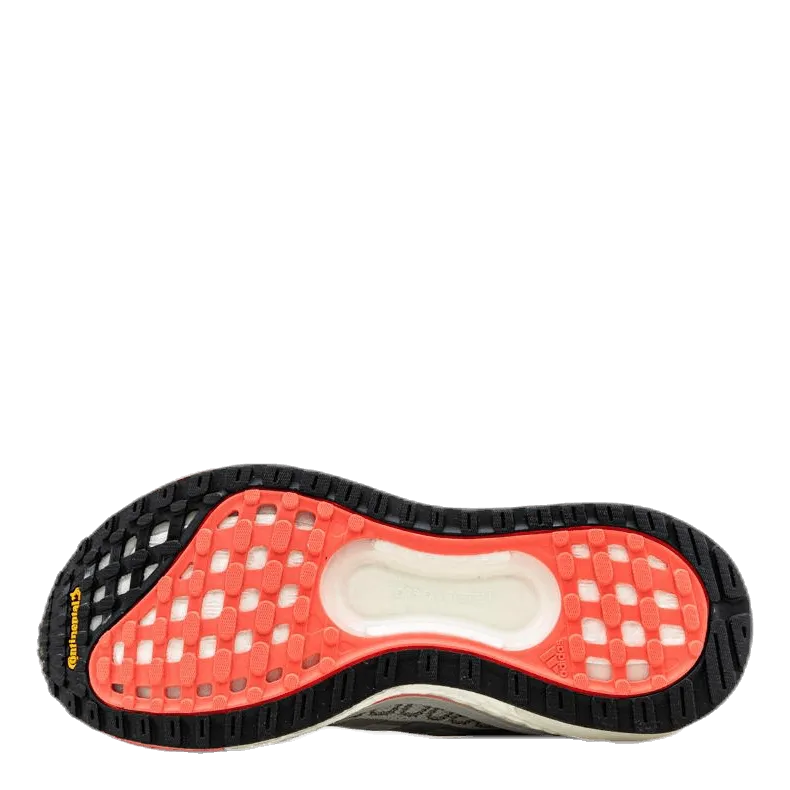 SolarGlide 3 Shoes Dash Grey / Silver Metallic / Signal Pink / Coral