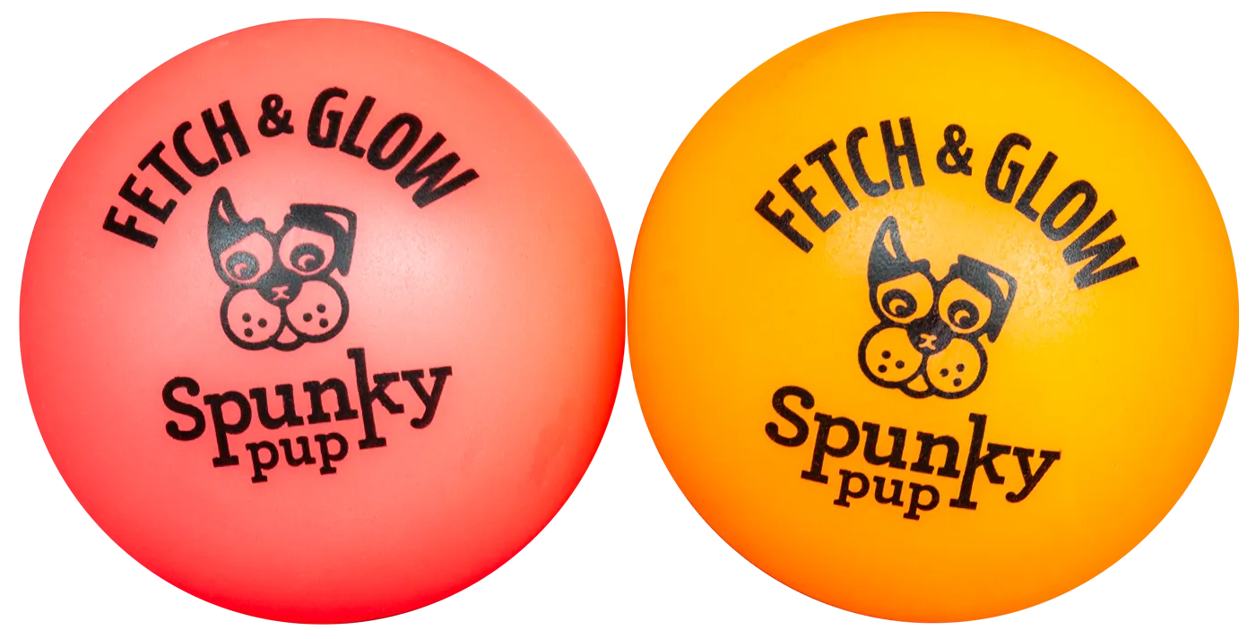 Spunky Fetch & Glow Small 2 pack Dog Toy
