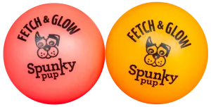 Spunky Fetch & Glow Small 2 pack Dog Toy