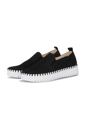 TULIP 141 BLACK
