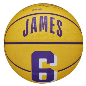 Wilson NBA Player Icon Mini Ball Lebron James Basketball