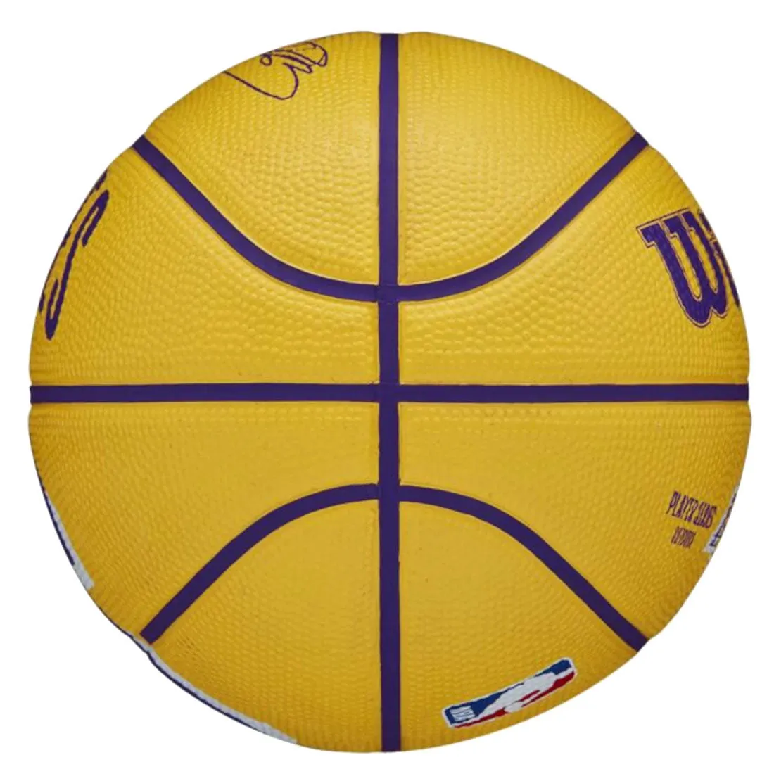 Wilson NBA Player Icon Mini Ball Lebron James Basketball