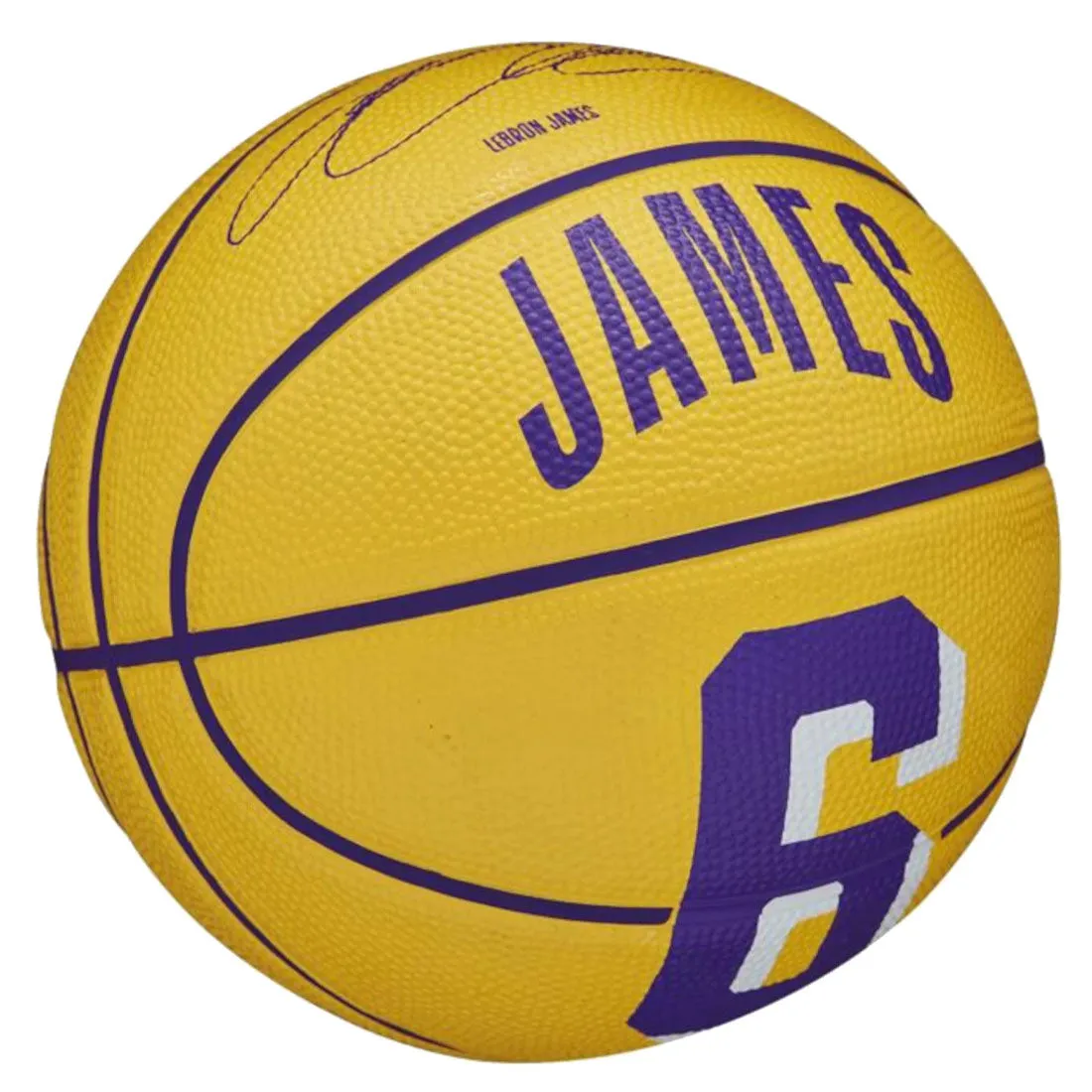 Wilson NBA Player Icon Mini Ball Lebron James Basketball