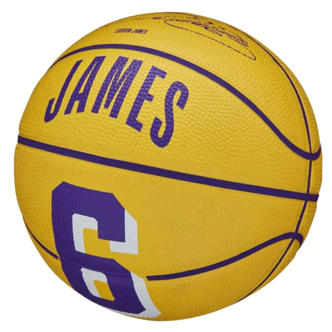 Wilson NBA Player Icon Mini Ball Lebron James Basketball